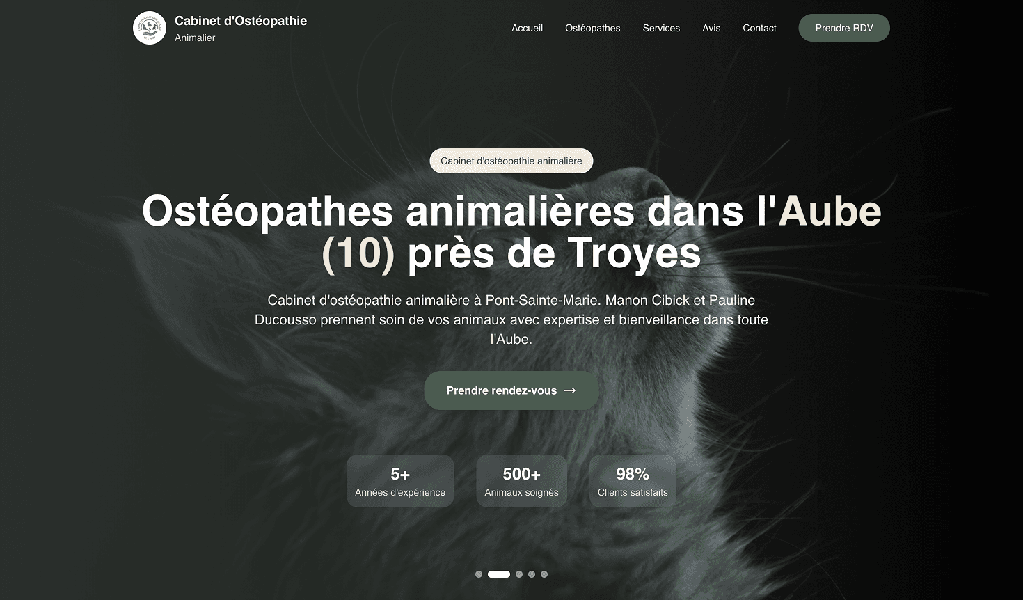 CABINET D'OSTÉOPATHIE ANIMALIÈRE — aperçu 1